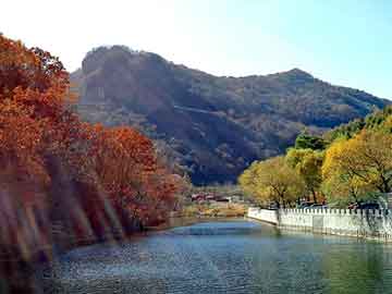 管家婆黑白马报图库，奥鲨宝